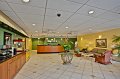Magic Tree Resort-4401